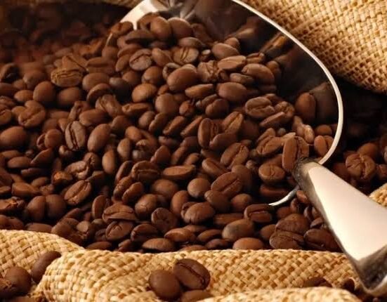أسعار البن