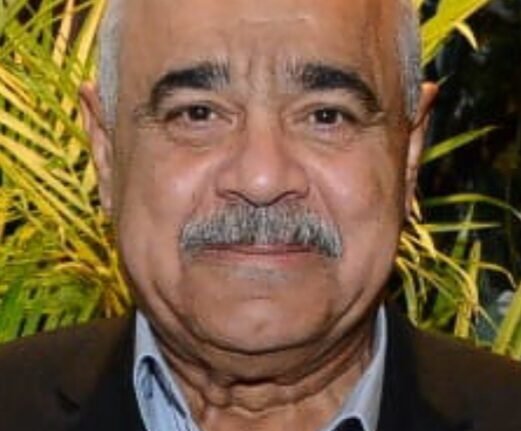 اللواء أحمد وصفي