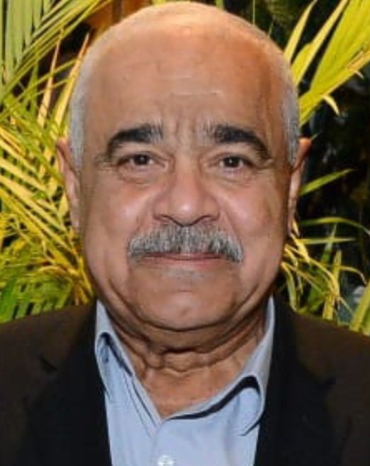 اللواء أحمد وصفي